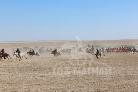 Хурдан соёолон гараанаас эргэж буй нь