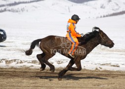 Эрдэнэтийн бүсэд түрүүлж айрагдсан хурдан соёолонгууд