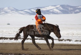 Эрдэнэтийн бүсэд түрүүлж айрагдсан хурдан соёолонгууд