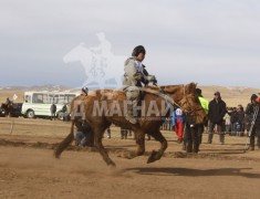 Тод манлайн мялаалга наадам нижгэр боллоо