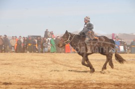 Өвөрхангайн баруун бүсийн наадамд түрүүлж, айрагдсан хурдан хүлгүүд