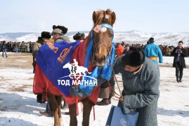 Эрлийз ангилалд түрүүлж айрагдсан хурдан хүлгэдийн дэлгэрэнгүй танилцуулга