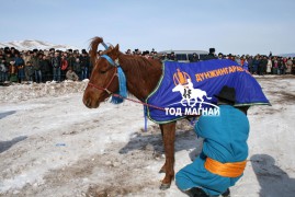 Эрлийз ангилалд түрүүлж айрагдсан хурдан хүлгэдийн дэлгэрэнгүй танилцуулга