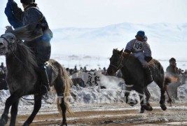 “Дүнжингаравын хурд-2012” уралдаанд түрүүлж айрагдсан их насны морьдын дэлгэрэнгүй танилцуулга