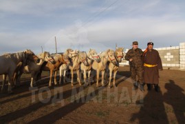 Тод манлай, Манлайгууд хурдан хүлгэдээ төрийн торгон сүрэгт бэлэглэлээ