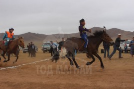 3.Тосонцэнгэл сумын уугуул, сумын МСУХ-ны нарийн бичгийн дарга Д.Гэндэнсүрэнгийн Буган халтар 