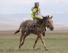 3. Сэлэнгэ аймгийн Цагааннуур сумынуугуул Эрдэнэгэрэлийн хонгор