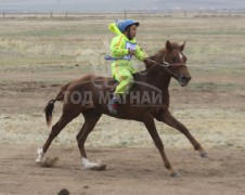 1. Төв аймгийн Заамар сумын уугуул Уламбаярын хүрэн