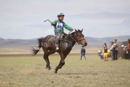 1. Сэлэнгэ аймгийн Сүхбаатар сумын харъяат, аймгийн Алдарт уяач Э.Баянмөнхийн халтар