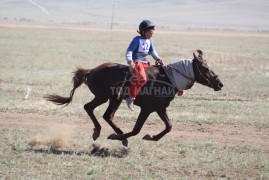 4. Сэлэнгэ аймгийн Хушаат сумын уугуул Пүрэвсүрэнгийн хүрэн