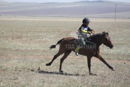 5. Орхон аймгийн уугуул Отгонтэнгэрийн хул