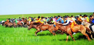 Эрдэнэцагааны наадамд түрүүлж, айрагдсан морьдын фото