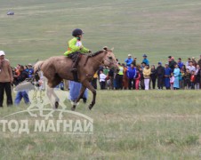 Д.Сугарын хул барианы зурхайд. Унаач Б.Буяндэлгэр