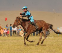 5. Сүхбаатар аймгийн Мөнххаан сумын уяач Бат-Өлзийн хонгор