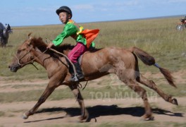 Зүүн бүсийн түрүү саарал азарганы мялаалга боллоо