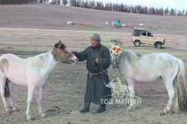 Аймгийн Алдарт уяач Б.Баярсайхан: Би Хатгалд анх удаа Галшараас адуу авчирсан хүн байгаа юм