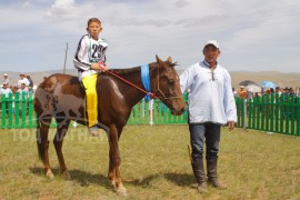 Тод манлай уяач Б.Билэгдэмбэрэлийн хүрэн 