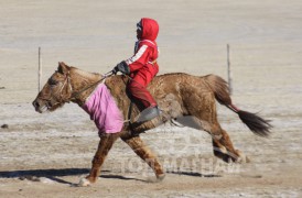 6. Улаанбаатар хотын уяач Баттүвшингийн хонгор