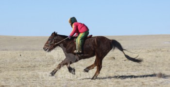 Уралдааны замд