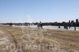 Дорнод аймгийн морин спорт уяачдын холбооны 15 жилийн ойд түрүүлж айрагдсан хурдан хүлгүүд