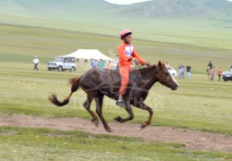 2.Булган сумын харьяат Мэндсайханы хүрэн халзан