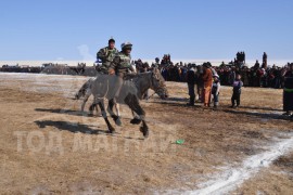 Дорнод аймгийн морин спорт уяачдын холбооны 15 жилийн ойн уралдаанд түрүүлж айрагдсан их насны морьд