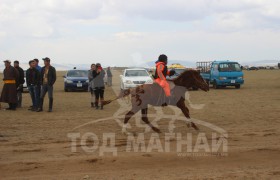 Булгантамирын хүрэн халзан