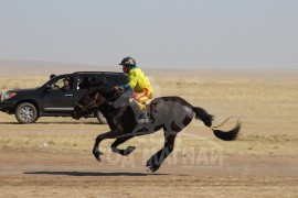 “Жавхлант шаргын хурд-2014” уралдааны хурдан соёолонгууд