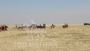 “Жавхлант шаргын хурд-2014” уралдааны хурдан шүдлэнгүүд