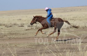 “Жавхлант шаргын хурд-2014” уралдааны хурдан шүдлэнгүүд