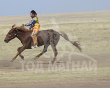 “Жавхлант шаргын хурд-2014” уралдааны хурдан шүдлэнгүүд