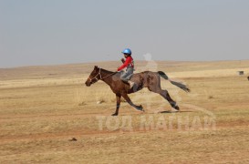 “Жавхлант шаргын хурд-2014” уралдааны хурдан шүдлэнгүүд