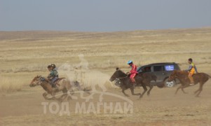 “Жавхлант шаргын хурд-2014” уралдааны хурдан шүдлэнгүүд