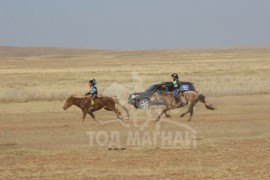 “Жавхлант шаргын хурд-2014” уралдааны хурдан шүдлэнгүүд