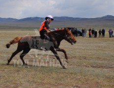 Х.Шижирбаатарын хүрэн 