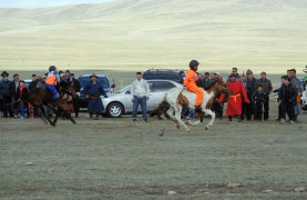 Аймгийн Алдарт уяач В.Наранхүүгийн хонгор 