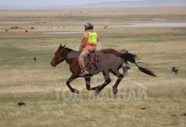 Бурхан багшийн тааллын шүтээн бодь суварга сүндэрлүүллээ