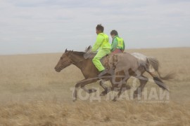 С.Ганхуягийн бор түрүүлж, Т.Галбадрахын ногоон айрагдлаа