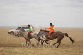 С.Ганхуягийн бор түрүүлж, Т.Галбадрахын ногоон айрагдлаа