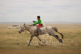 С.Ганхуягийн бор түрүүлж, Т.Галбадрахын ногоон айрагдлаа