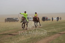 С.Ганхуягийн бор түрүүлж, Т.Галбадрахын ногоон айрагдлаа