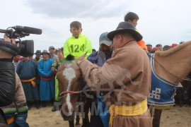 С.Ганхуягийн бор түрүүлж, Т.Галбадрахын ногоон айрагдлаа