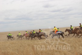 С.Ганхуягийн бор түрүүлж, Т.Галбадрахын ногоон айрагдлаа