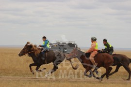 С.Ганхуягийн бор түрүүлж, Т.Галбадрахын ногоон айрагдлаа