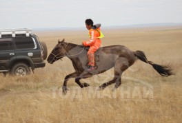 С.Ганхуягийн бор түрүүлж, Т.Галбадрахын ногоон айрагдлаа