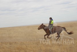 С.Ганхуягийн бор түрүүлж, Т.Галбадрахын ногоон айрагдлаа