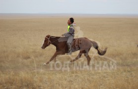 С.Ганхуягийн бор түрүүлж, Т.Галбадрахын ногоон айрагдлаа