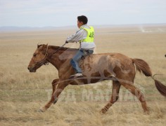 С.Ганхуягийн бор түрүүлж, Т.Галбадрахын ногоон айрагдлаа