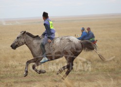 С.Ганхуягийн бор түрүүлж, Т.Галбадрахын ногоон айрагдлаа