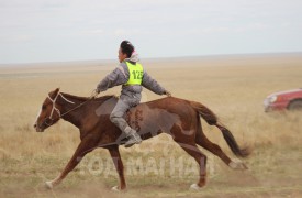 С.Ганхуягийн бор түрүүлж, Т.Галбадрахын ногоон айрагдлаа